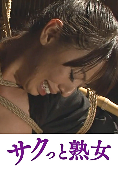 Pe stj0208 01 T1729224326